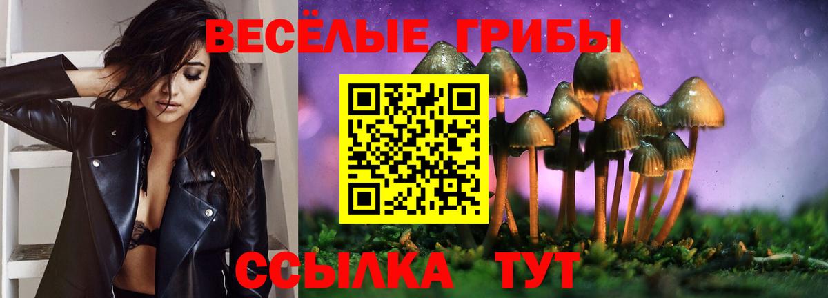 Псилоцибиновые грибы Psilocybe  Галлюциногенные грибы Magic Shrooms  Чистополь  Вход с VPN 